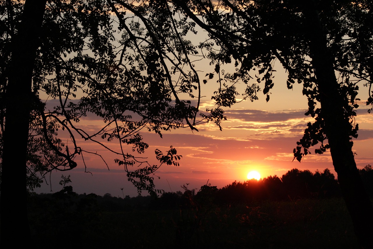 Aften, Solnedgang, Himmel, Sol, Natur