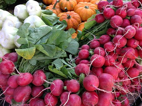 Free Radishes Radish photo and picture