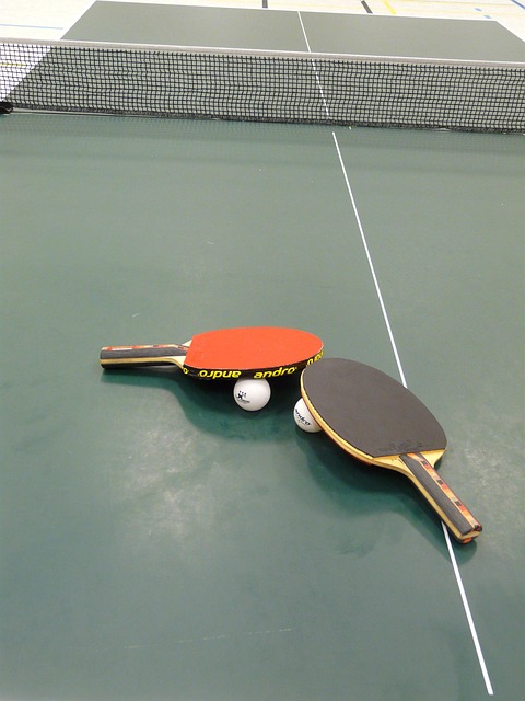 Free Table Tennis Ping-Pong photo and picture