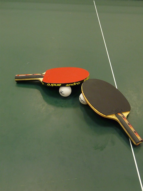 Free Table Tennis Ping-Pong photo and picture