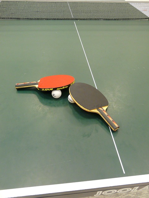 Free Table Tennis Ping-Pong photo and picture