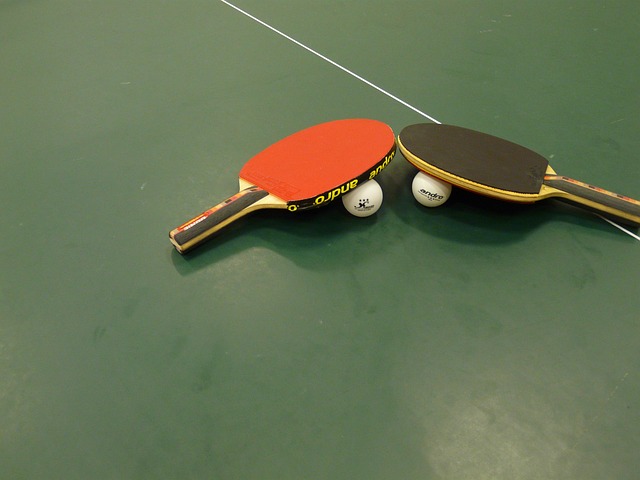 Free Table Tennis Ping-Pong photo and picture