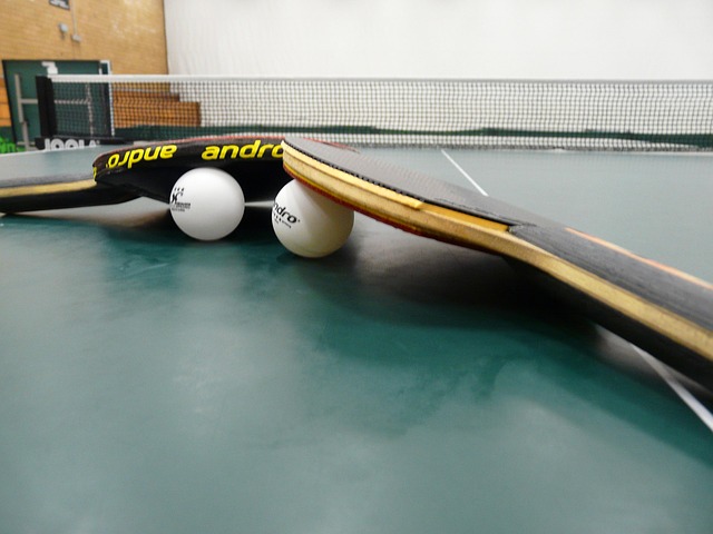 Free Table Tennis Ping-Pong photo and picture