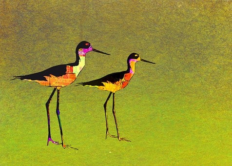 Free Birds Abstract illustration and picture