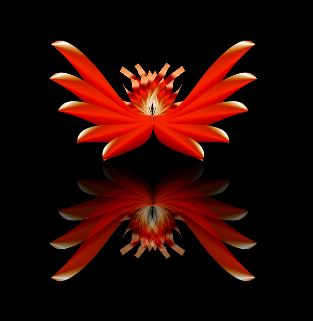 Flor, Loto, Reflexión, Negro, Superficie