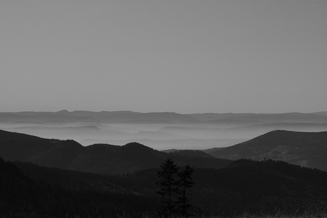 Free Alps Black Forest photo and picture