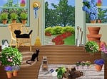 garden shed, gardening, horticulture
