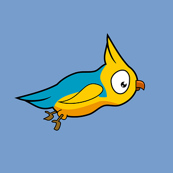 Free Bird Parrot vector and picture