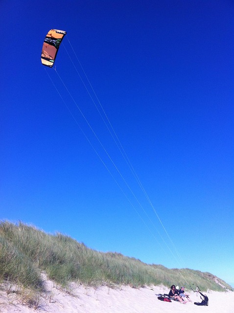 Free Kite Blue photo and picture