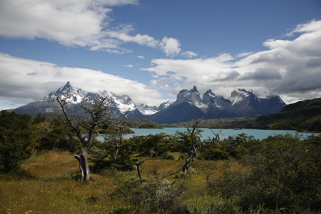 Free Patagonia Torres Del Paine photo and picture