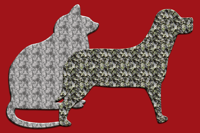 Free Cat Dog illustration and picture