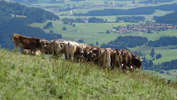 Free Bavaria Allgäu photo and picture