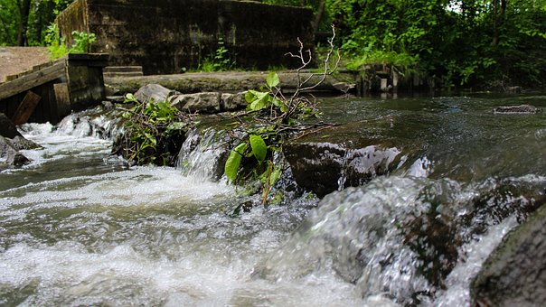 Free Waterfall Plant photo and picture
