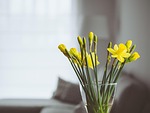 flowers, vase, interior