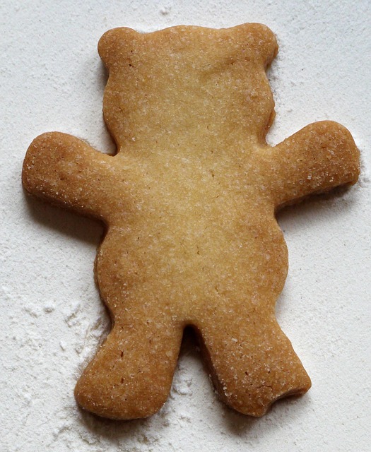 Free Cookie Cookies photo and picture