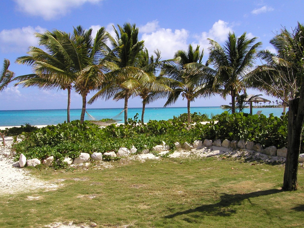 Hammock Island Caribbean Free photo on Pixabay Pixabay