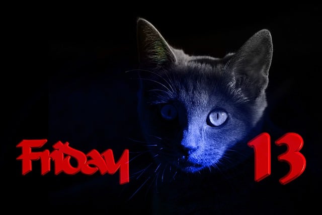 Free friday cat superstition illustration
