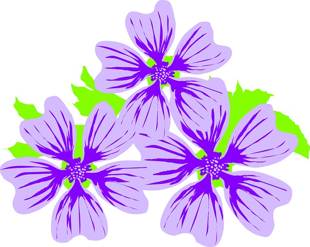 Free flower mallow plant illustration
