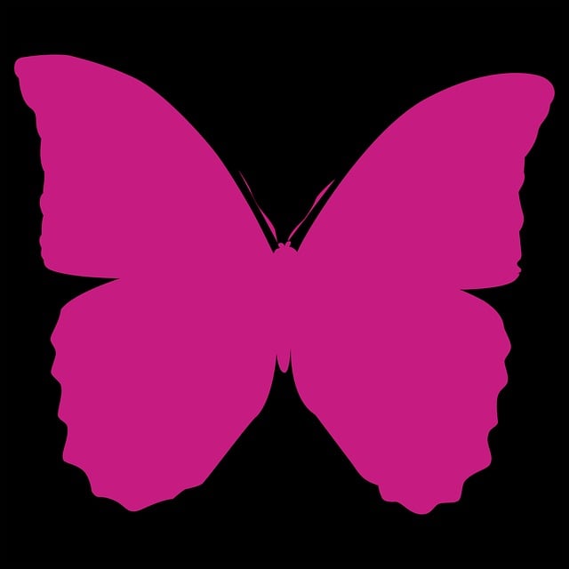 Free butterfly emotion feelings vector