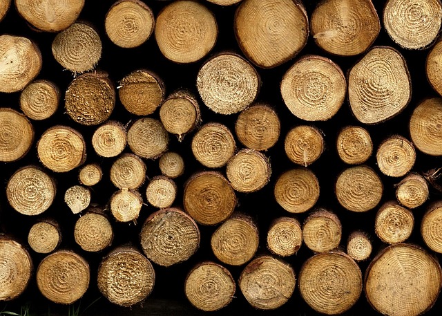 Free Wood Texture photo and picture