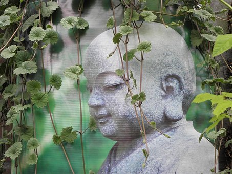Free Buddha Monk photo and picture