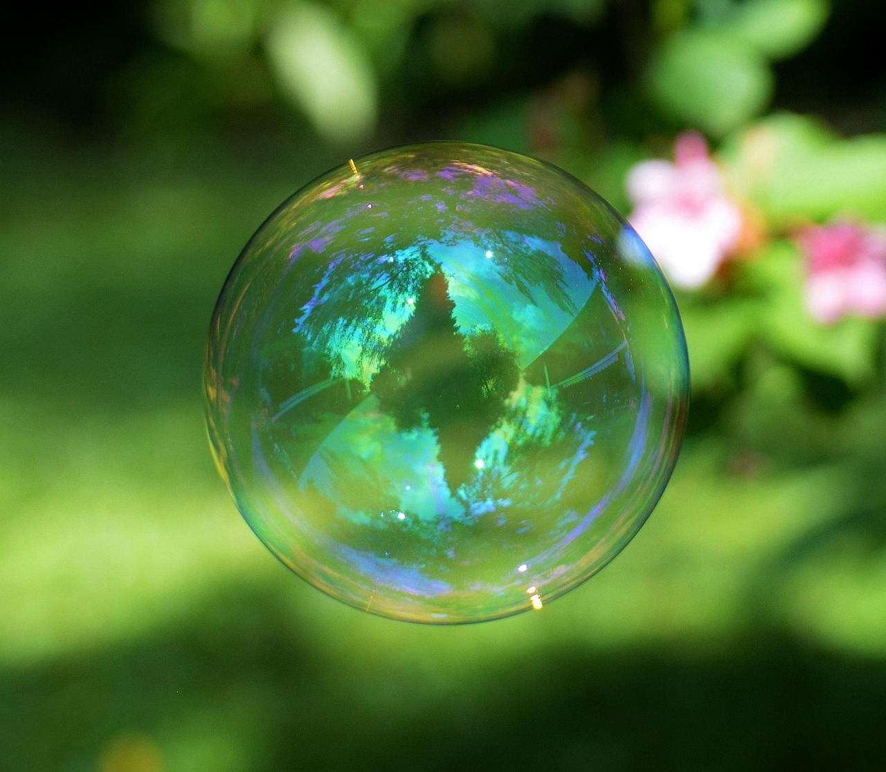 2 000 Free Soap Soap Bubbles Images Pixabay