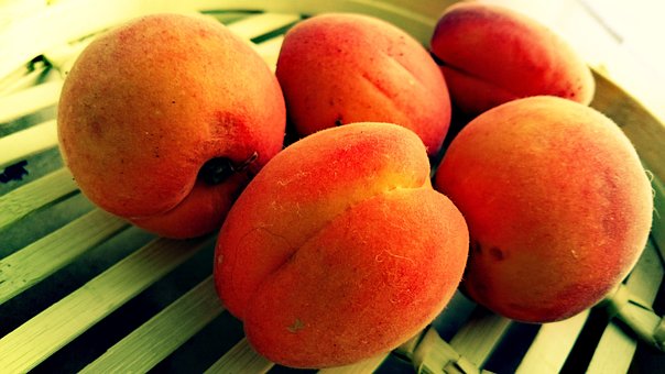 Free Apricots Fruits photo and picture