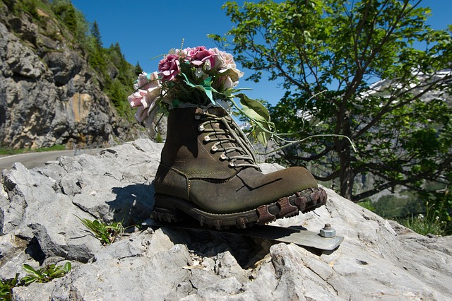 Free Shoe Tricouni photo and picture