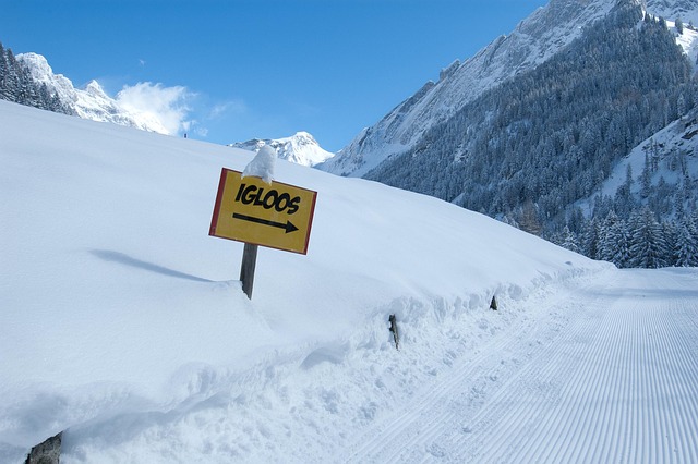 Free Igloo Snow photo and picture