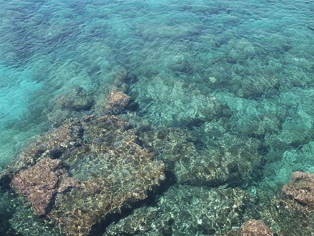 Free Sea Water photo and picture