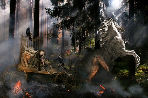 800 Gambar Kebakaran Hutan Hutan Gratis Pixabay