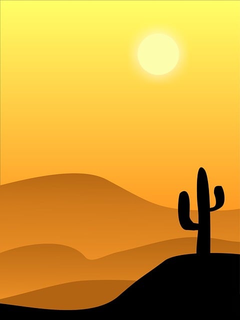 Free desert nature cactus illustration