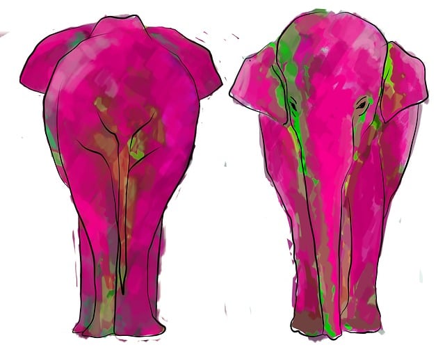 Free elephant illustration colors illustration