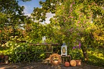 garden, seat, garden table