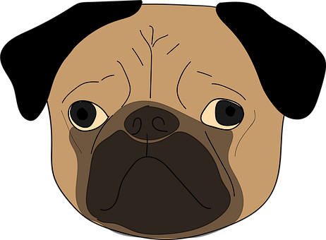 Free Pug Puppy vector and picture