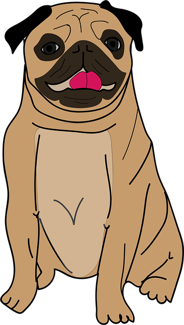 Free pug dog pet vector