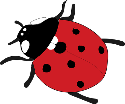 Free Ladybug Nature vector and picture