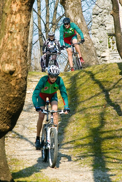 Free Bicycle Sport photo and picture