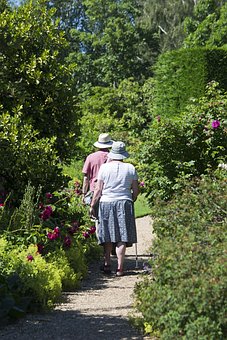 Free Elderly Couple photo and picture