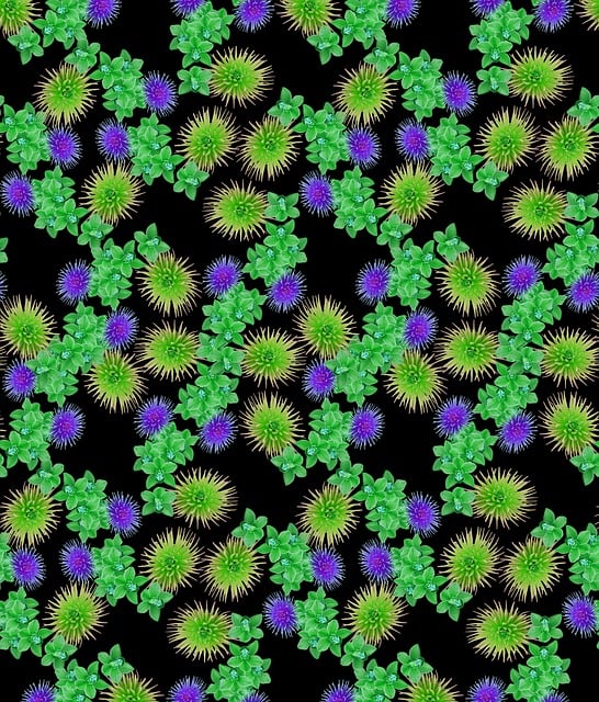Blomst, Blomster, Natur, Mønster