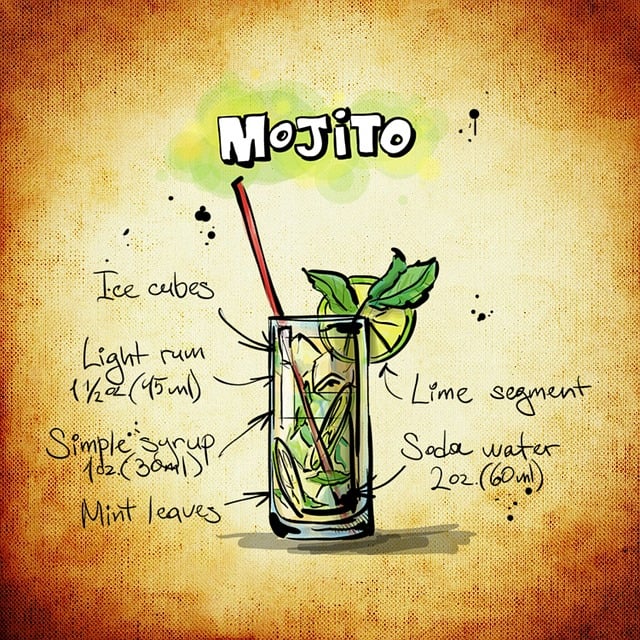 Free mojito cocktail drink illustration