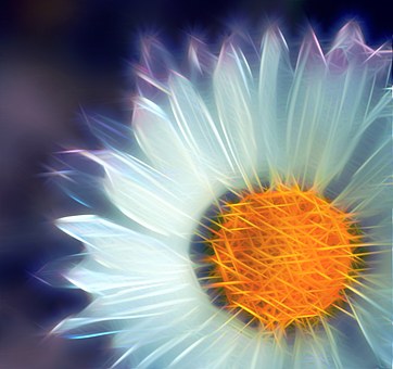 Free Background Nature illustration and picture