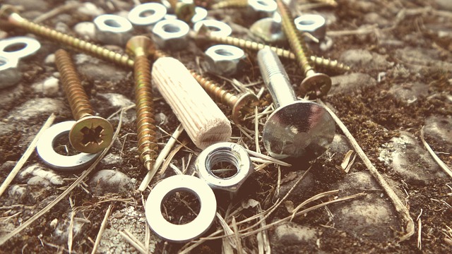 Free Screws Dowels photo and picture