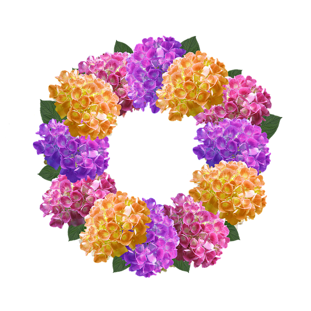 Free crown hydrangea hydrate illustration
