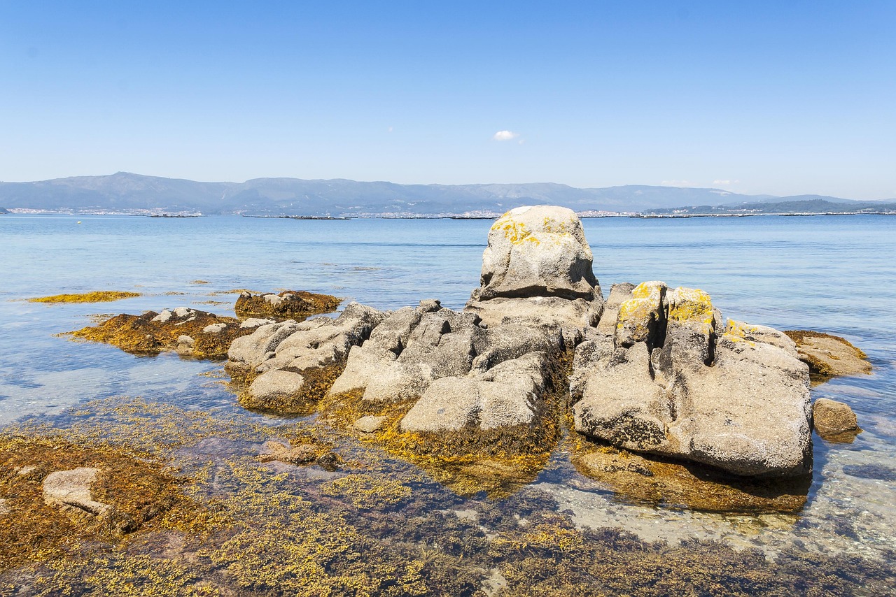 Coast Rocks Arousa Island - Free photo on Pixabay - Pixabay
