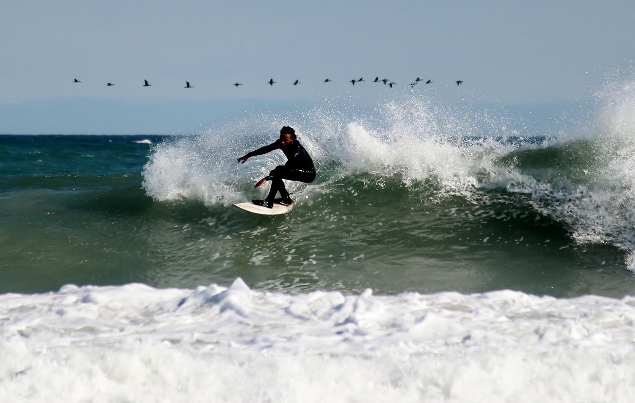 Surfer Surfboard Surfing Leisure Free photo on Pixabay Pixabay