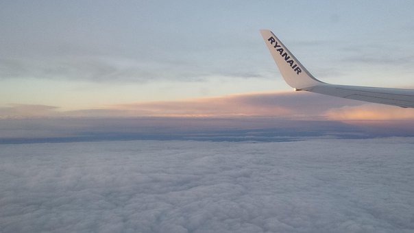 Free Plane Wing photo and picture