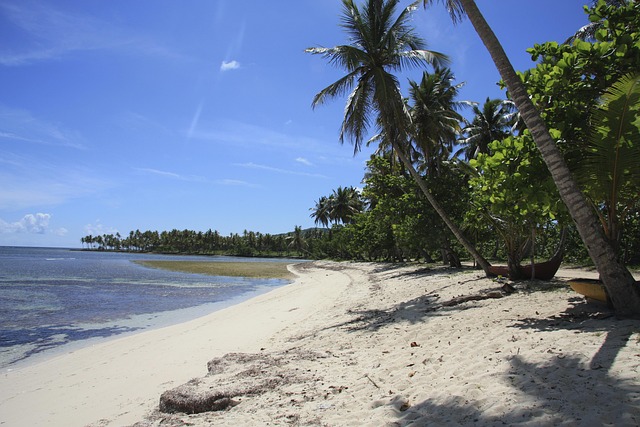 Free Beach Caribbean photo and picture
