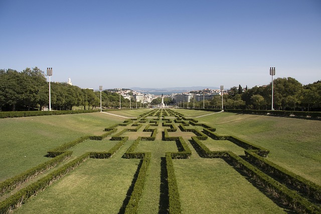 Free Yard Lisbon photo and picture