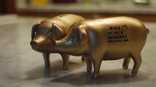 Piggy Bank, Seattle, Pig, Souvenir